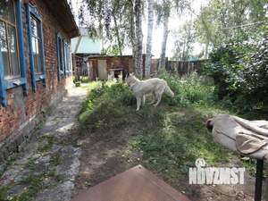 Дом 66м&sup2;, 1-этажный, участок 9 сот.  