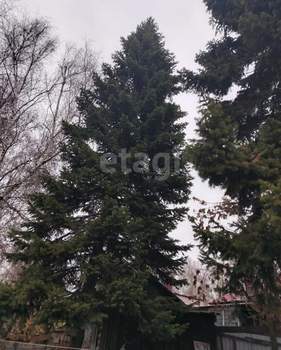Дом 37м², 1-этажный, участок 15 сот.  