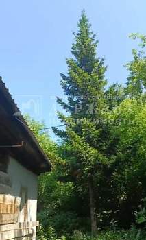 Дом 53м², 1-этажный, участок 10 сот.  