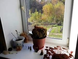 Дом 75м², 2-этажный, участок 6 сот.  