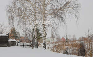 Дом 50м², 1-этажный, участок 20 сот.  