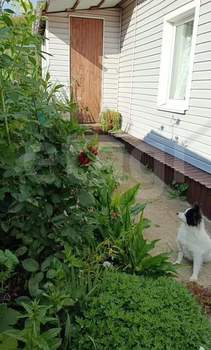 Дом 100м&sup2;, 1-этажный, участок 15 сот.  