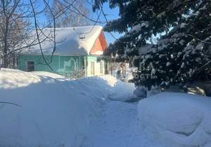 Дом 38м&sup2;, 1-этажный, участок 24 сот.  