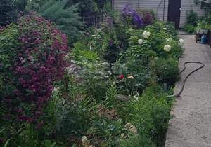 Дом 100м&sup2;, 1-этажный, участок 15 сот.  