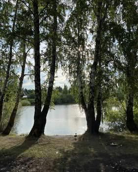 Дом 24м&sup2;, 2-этажный, участок 4 сот.  