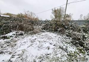 Дом 47м², 1-этажный, участок 6 сот.  
