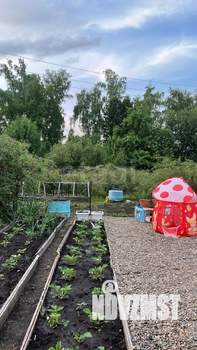 Дом 24м&sup2;, 1-этажный, участок 4 сот.  