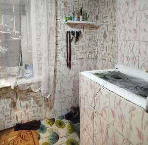 Дом 24м&sup2;, 1-этажный, участок 4 сот.  