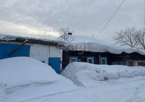 Дом 52м&sup2;, 1-этажный, участок 23 сот.  