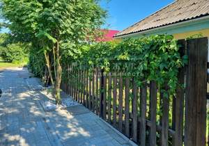 Дом 38м&sup2;, 1-этажный, участок 7 сот.  