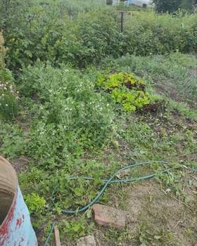 Дом 18м&sup2;, 2-этажный, участок 10 сот.  