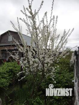 Дом 66м&sup2;, 1-этажный, участок 9 сот.  