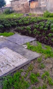 Дом 61м&sup2;, 1-этажный, участок 10 сот.  