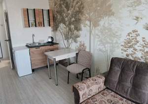 1-к квартира, на длительный срок, 23м2, 8/9 этаж