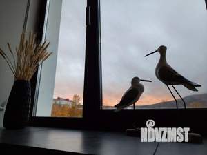 2-к квартира, посуточно, 55м2, 1/1 этаж