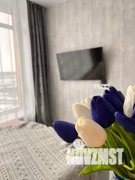 Студия квартира, посуточно, 27м2, 8/17 этаж