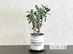 2-к квартира, посуточно, 65м2, 1/1 этаж