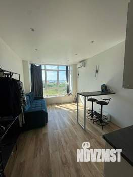 Студия квартира, на длительный срок, 25м2, 8/17 этаж