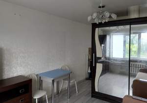 1-к квартира, на длительный срок, 23м2, 4/9 этаж