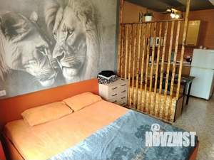 Студия квартира, посуточно, 24м2, 4/9 этаж