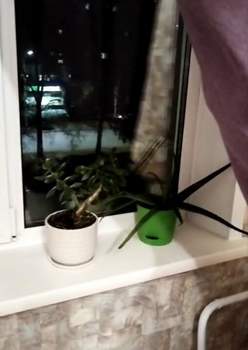 1-к квартира, на длительный срок, 23м2, 2/9 этаж