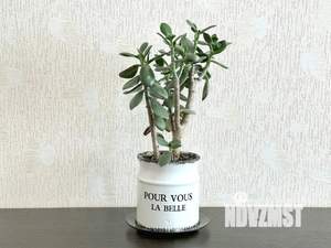 2-к квартира, посуточно, 65м2, 11/13 этаж