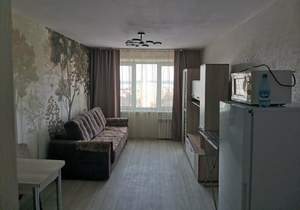 1-к квартира, на длительный срок, 23м2, 8/9 этаж