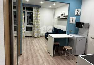 Студия квартира, на длительный срок, 27м2, 9/16 этаж