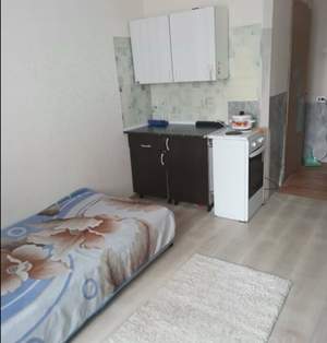 1-к квартира, на длительный срок, 23м2, 3/9 этаж