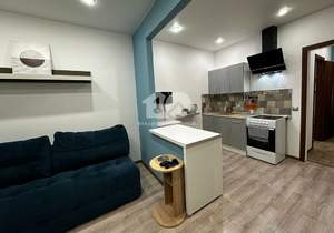 Студия квартира, на длительный срок, 27м2, 9/16 этаж