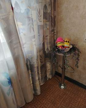 1-к квартира, на длительный срок, 18м2, 3/9 этаж