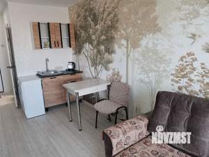 1-к квартира, на длительный срок, 24м2, 8/9 этаж