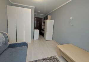 1-к квартира, на длительный срок, 17м2, 9/9 этаж