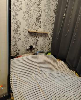 1-к квартира, на длительный срок, 15м2, 8/9 этаж