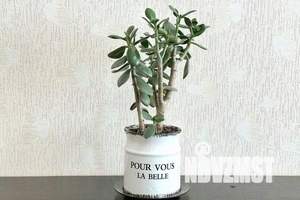 2-к квартира, посуточно, 62м2, 11/14 этаж