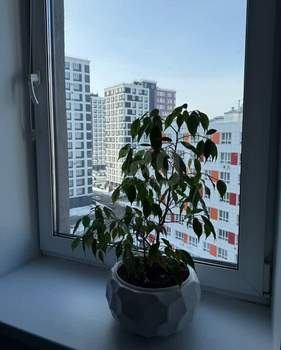 2-к квартира, вторичка, 58м2, 9/12 этаж