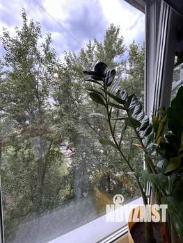 1-к квартира, вторичка, 24м2, 8/9 этаж