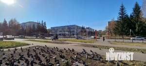 3-к квартира, вторичка, 70м2, 5/9 этаж