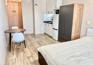 1-к квартира, вторичка, 25м2, 16/16 этаж