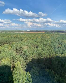 3-к квартира, вторичка, 56м2, 15/16 этаж