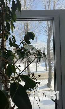 3-к квартира, вторичка, 68м2, 2/3 этаж